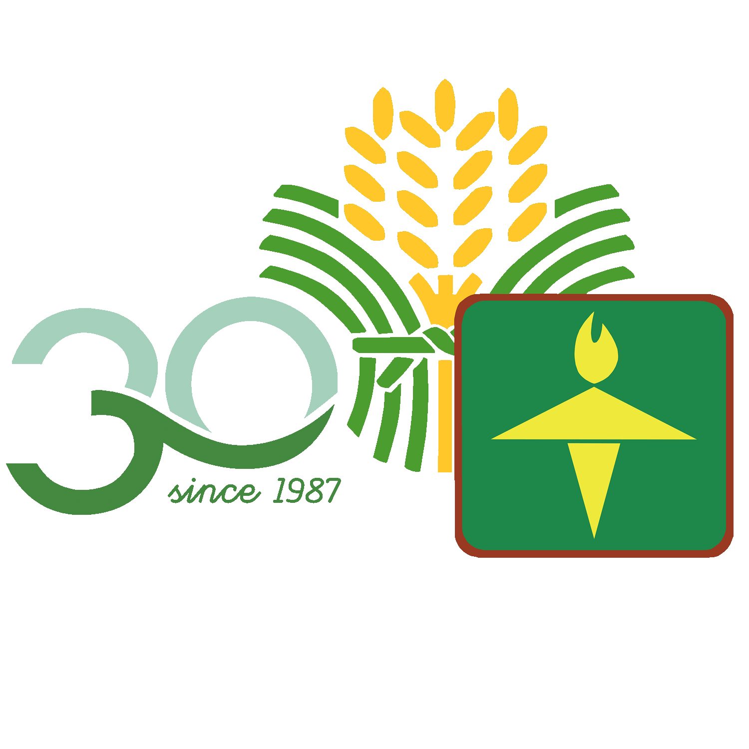 ATI at 30 logo