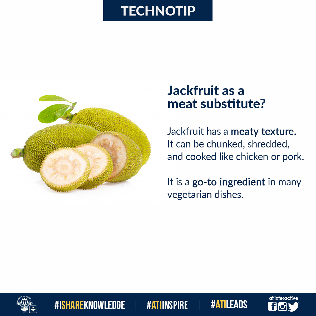 jackfruit technotips