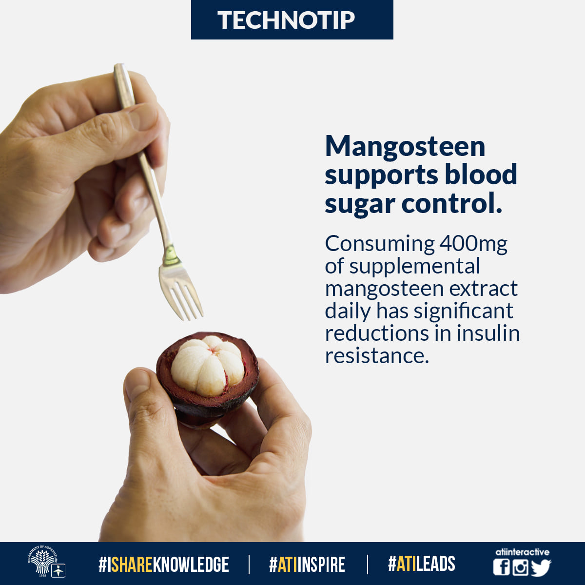 mangosteen blood sugar control