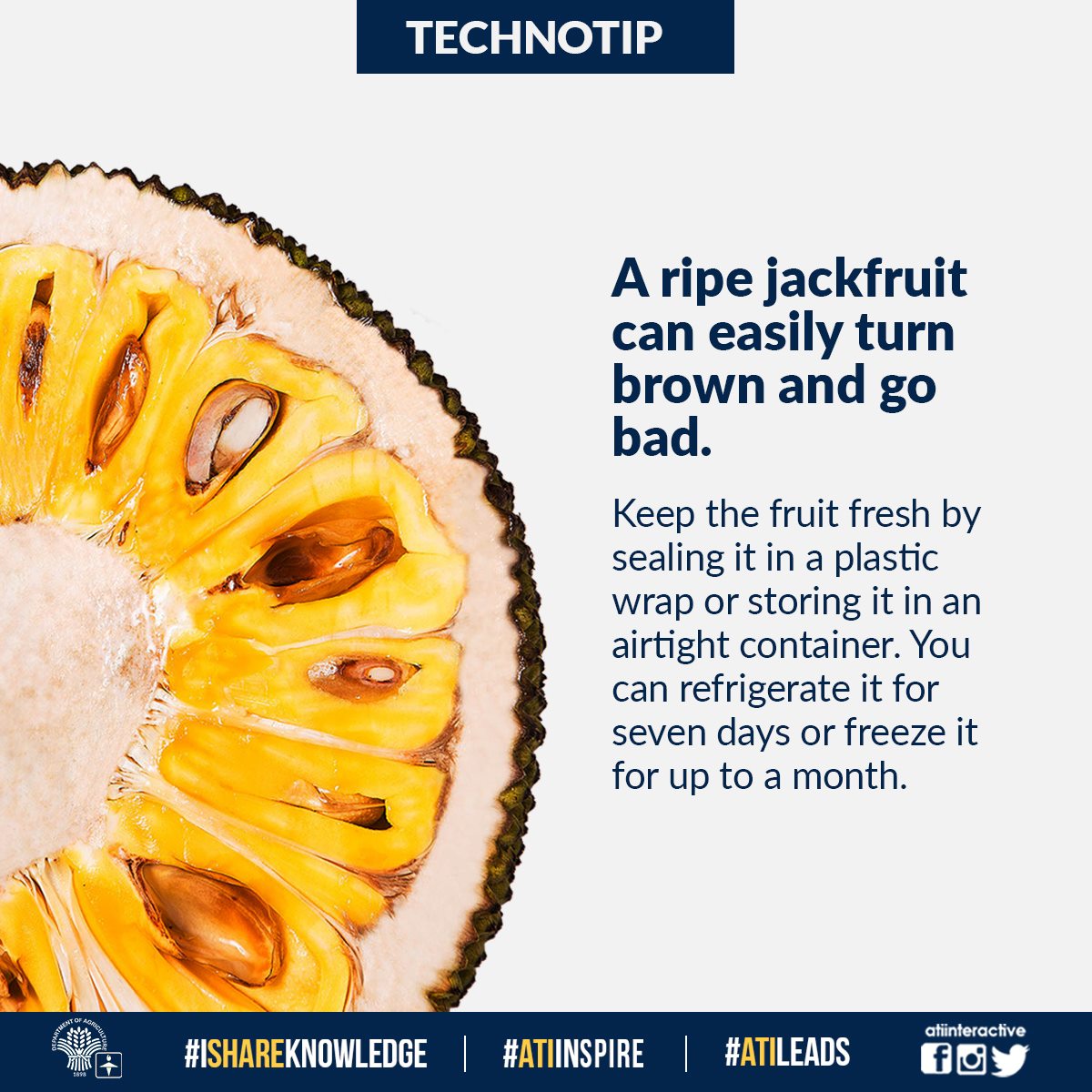 ripe jackfruit technotip