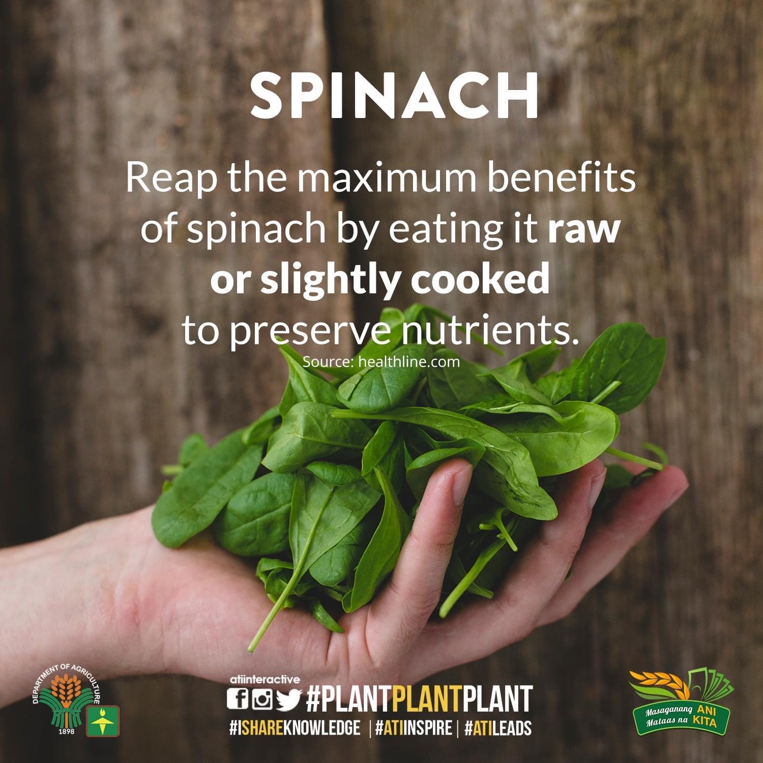 spinach technotips