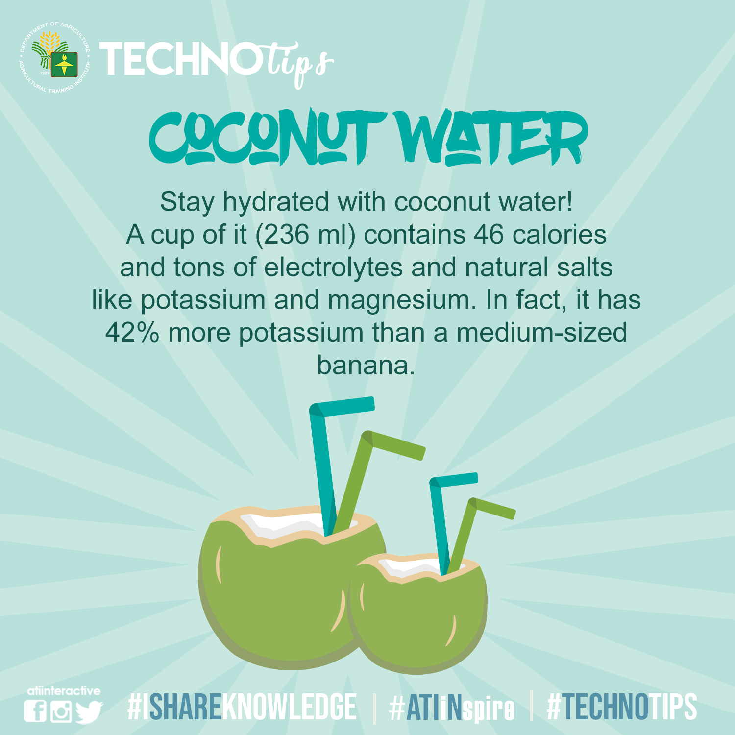 Technotip: Buko