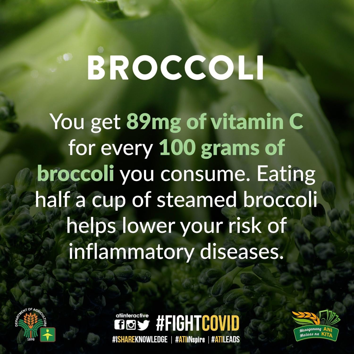 broccoli