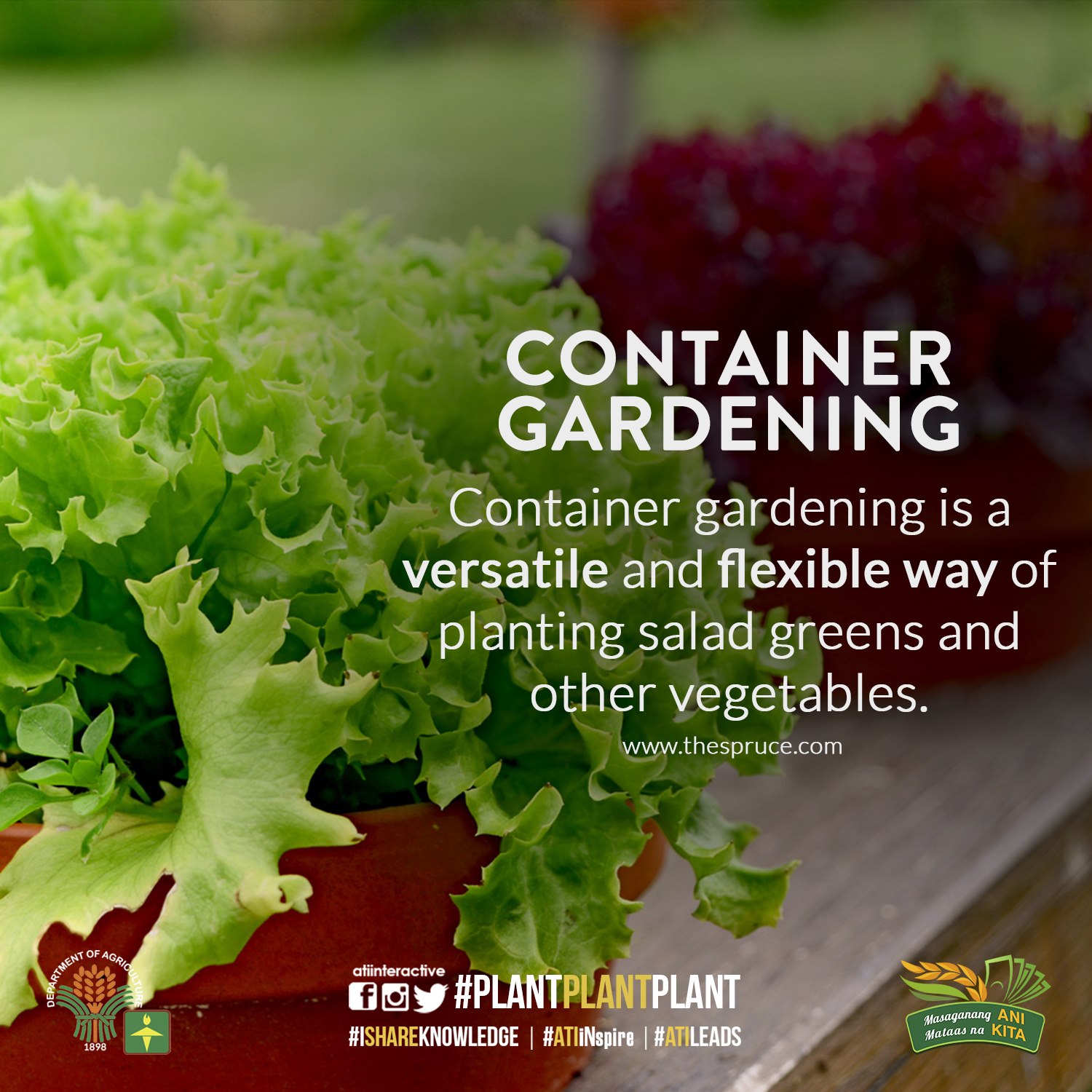 container gardening