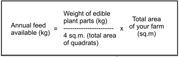 formula formula