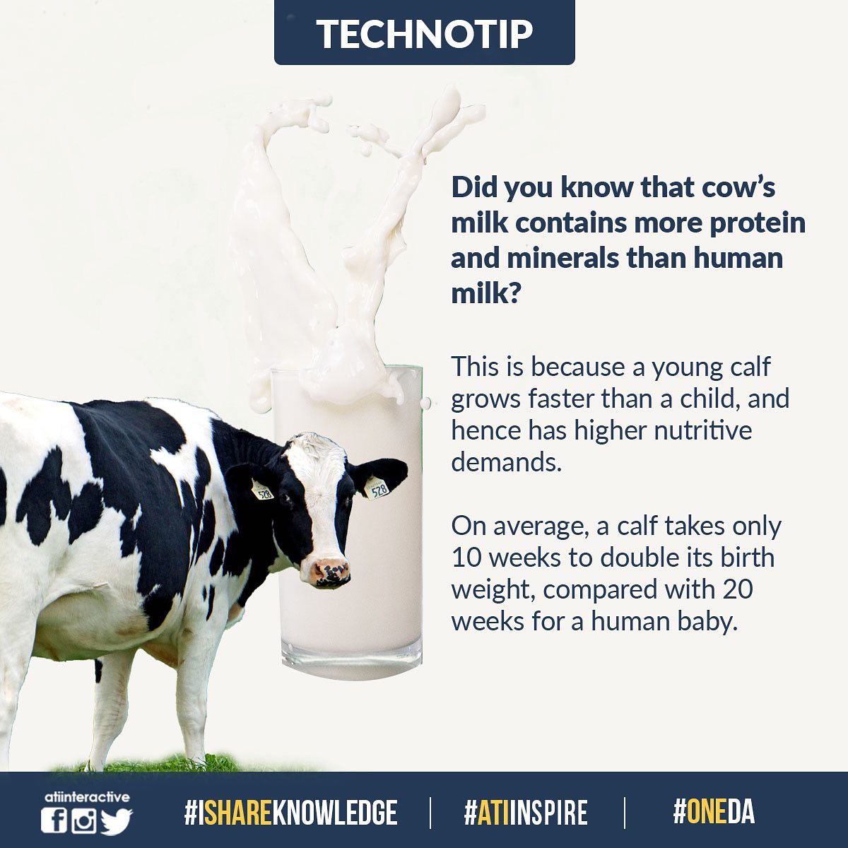 Protein in Cow's Milk