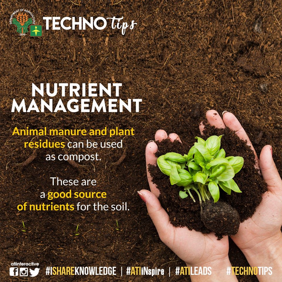 nutrient management