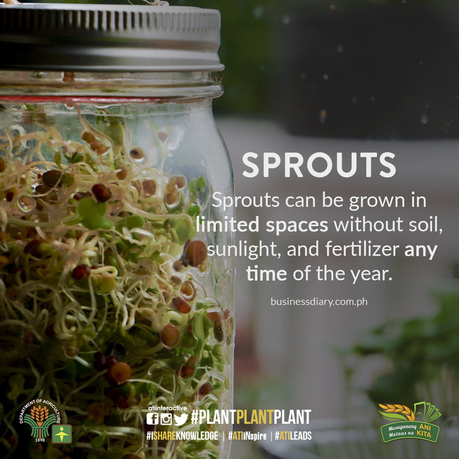 sprouts technotips