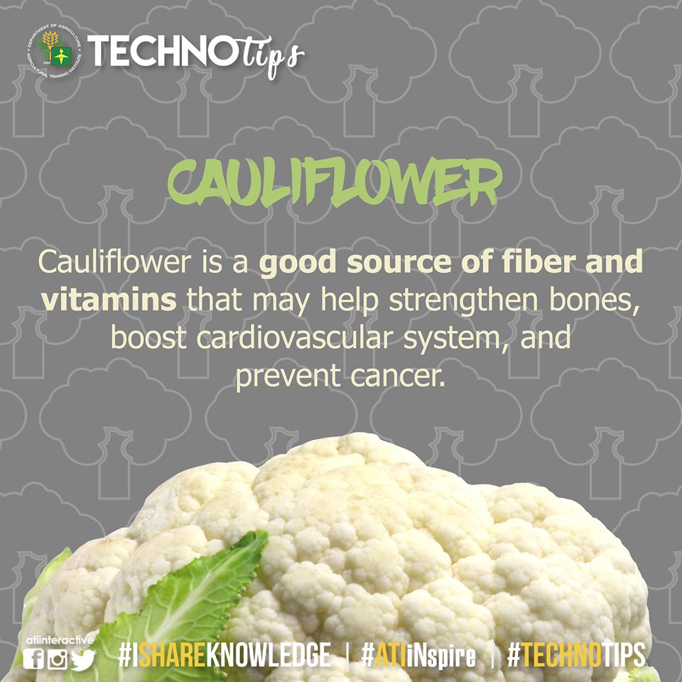 TECHNOTIPS: Cauliflower
